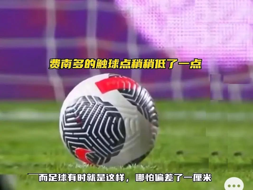 他们迅速打